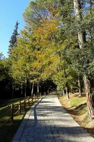 Lebbiano Residence Bio Resort  - Image 5