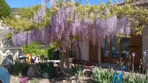Le Mignonet Gîte - Annonay - Image 4