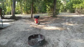 ~The Meadow~ Tiny house short walk to Lake Athens - Image 4