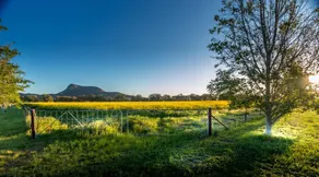 Avalon Farmstay. Quiet cottage on working farm - Image 3