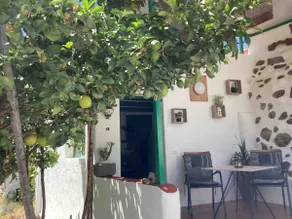 Cozy house in the countryside/mountain of Gran Canaria - Image 3