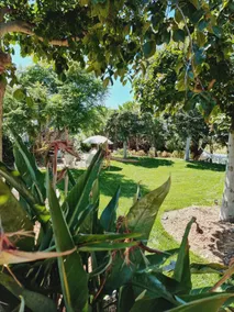 Emerald Cottage | Botanical getaway | Sleeps 12 - Image 2