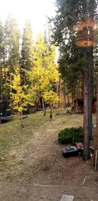 Mountain Bliss is a quiet mountain retreat, sleeps 6, hot tub, pet friendly - Image 3