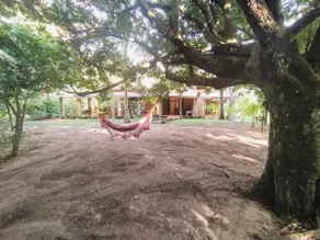 Sítio Algodões: forest 250 meters from the beach - Image 3
