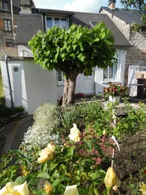 Holiday home in the heart of Corrèze 2 ** - Image 4