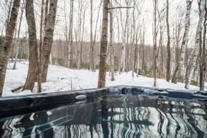 Privé - Cabine confortable avec un bain à remous et une cheminée à gaz - Image 2