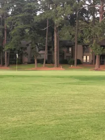 The Mulligan! - Image 2