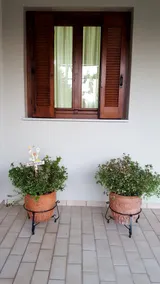 ”Patriko” Traditional Guesthome - Image 2
