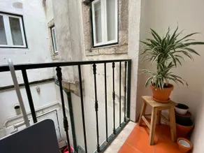 * COZY, centrally located * PEACEFUL, on a historic and COOL street. - Image 5