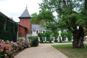 The House of Philippine - Image 5