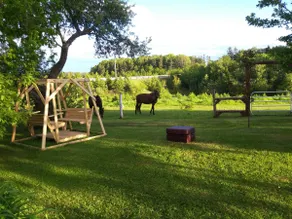 Special Guest Farmhouse PEI 3 bed country & horses - Image 3