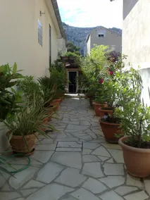 A little piece of paradise - Image 3