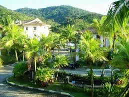 TONINHAS Ape - Image 2