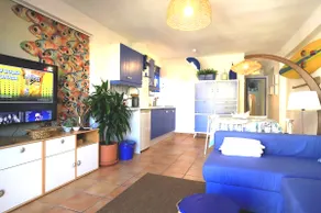 Casa blue fish - Image 3