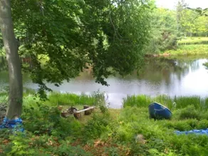 A Magical Spot on Little Robin Lake - Image 4