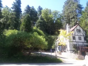 Bracken Fern Manor - Image 3