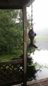 La Fish Camp - Image 5