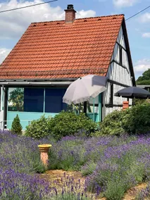 Vacation home with sauna, conservatory and terrace in the beautiful Taunus, quiet location! - Image 3