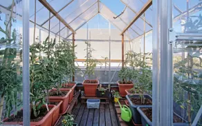 Room for up to 16 people - Image 3