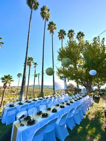 Luxury Orchard Retreat, Private 22 Acres of Nature - Image 3