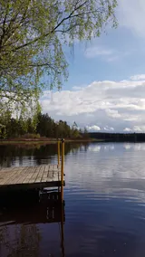 The calm by the lakes in the woods of Vittsjö - Image 4