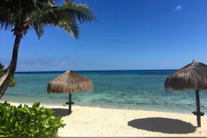 La Tortuga beachfront condo, pool, turtles nest - Image 4