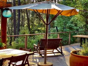 THE HOST · Forest Retreat · Pizza Oven · Fire Pit - Image 3