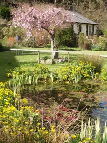 Cwm Irfon Lodge - Image 5