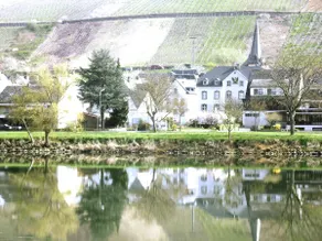 Haus Salamander Romantic Moselle - Image 4