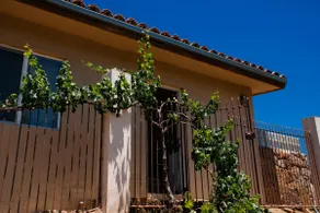 La Casita de la Torre Azul in Rancho Tecate - Image 4