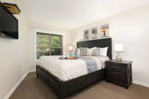 Luxury Ski-in/out 1Br/1Ba - 3Hot Tub`s & Pool - Image 3