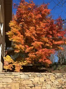 Solshine Garden Retreat - Image 3