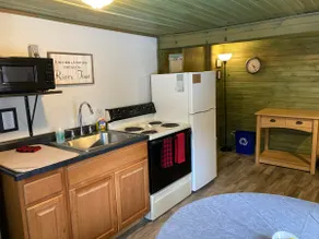 Cabin w/ dock slip, king bed, full kitchen, WiFi - Image 3