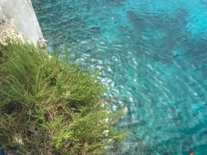 lagun home with a lovely view - Image 3