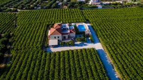 Cretan Vineyard Hill Villa 2 - Image 2