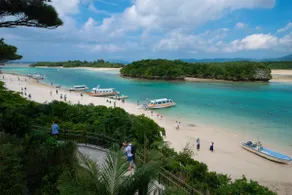 stay with your dog!/7min to Maesato beach by walk - Image 4