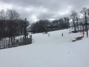 Wintergreen Resort: Weeping Rock Retreat - Image 3
