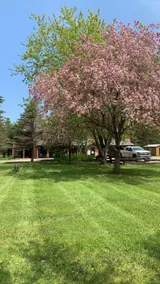 Mille Lacs Lodge - A place in the woods. - Image 5
