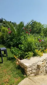 Ionian sea view studio - Image 3
