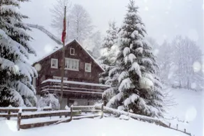 Chalet Sagentobel - pure relaxation and yet central - Image 2