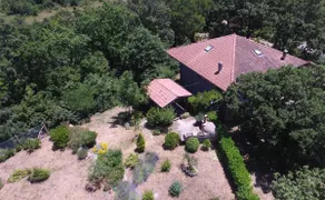 House surrounded by greenery - Image 5