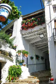 Paco and Ana's country house - Image 2