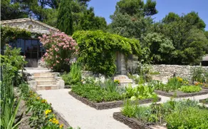 Your best holiday is about to start in Eygalières! - Image 4