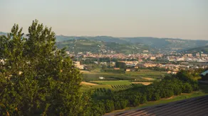 Relax in Alba and in the heart of the Unesco hills - Image 5