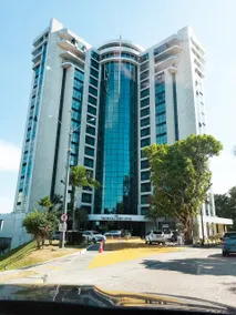 Flat Sunset - Tropical Executive - Image 4