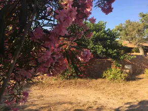 Charming little house - Image 3
