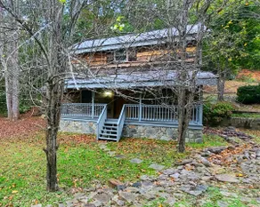 Saluda dream cabin: Waterfalls Nature Pet friendly - Image 3