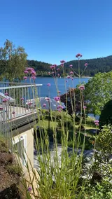 Schluchsee, Villa Seepark - Image 4