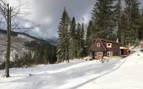 Childhood's Dream Cabin - Image 4
