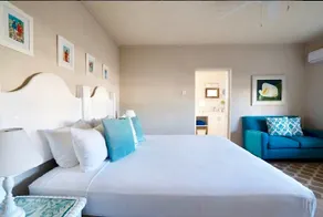 Oceanview modern Apt near windsurfing, kitesurfing - Image 4